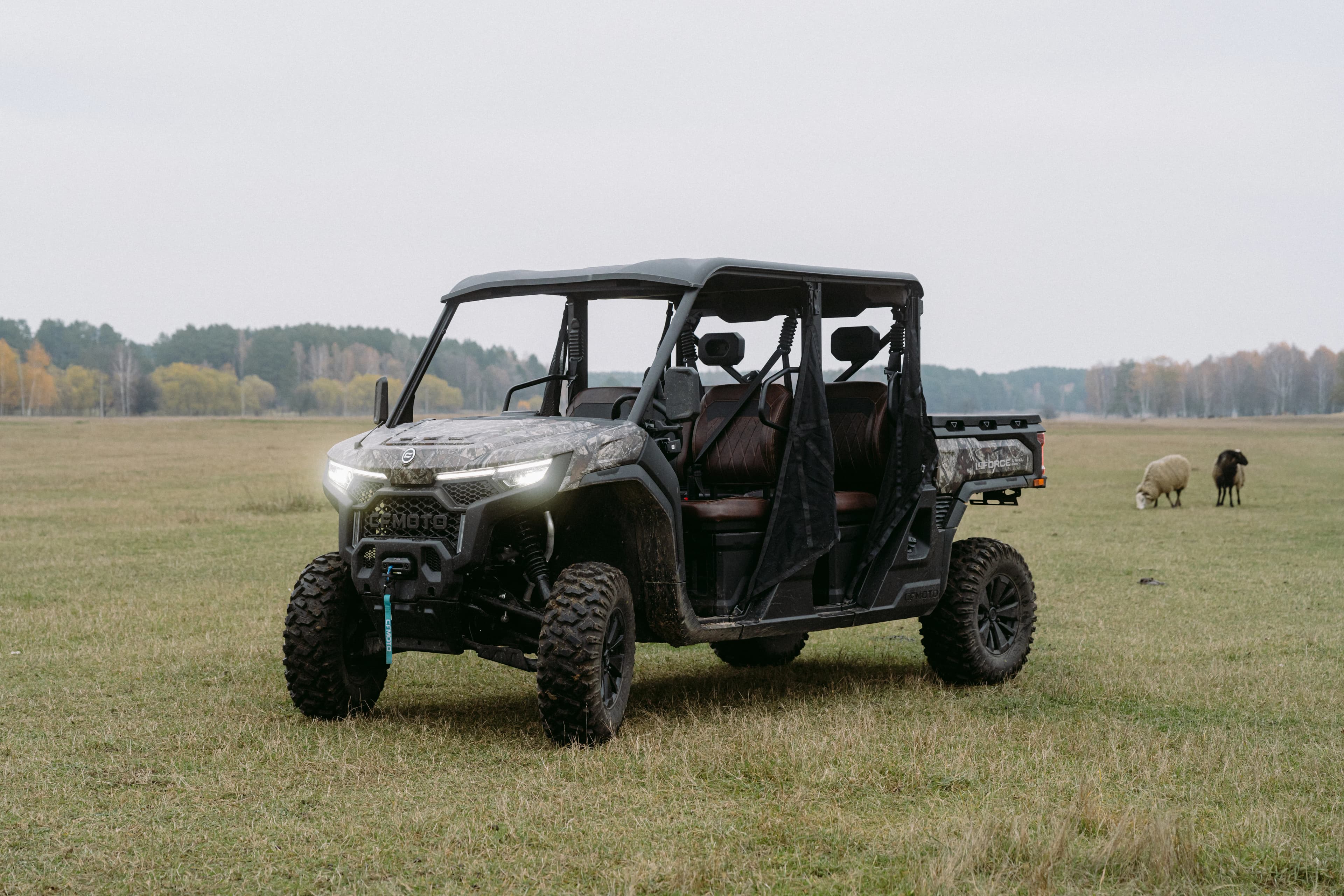 Баггі